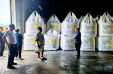 宏大民爆丨東南亞市場開拓再進階，實地考察夯實戰略合作