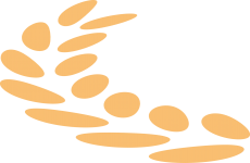 【七一專刊】榜樣·2025宏大先鋒譜